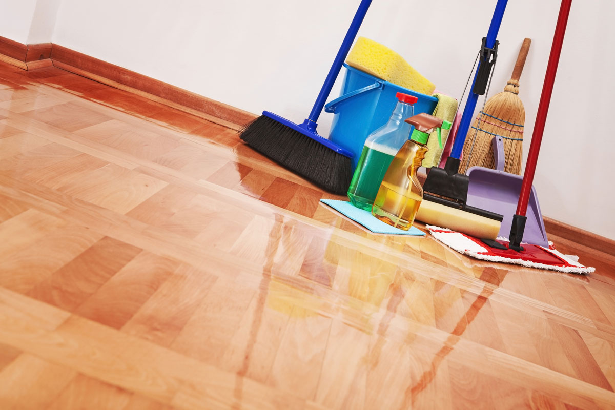 Seattle House Cleaning Service